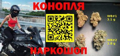 прущие грибы Анапа
