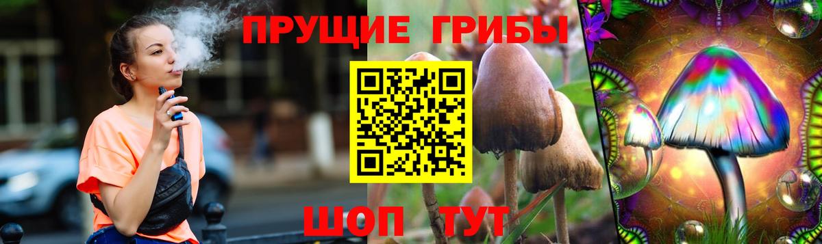 Галлюциногенные грибы Cubensis Кизилюрт