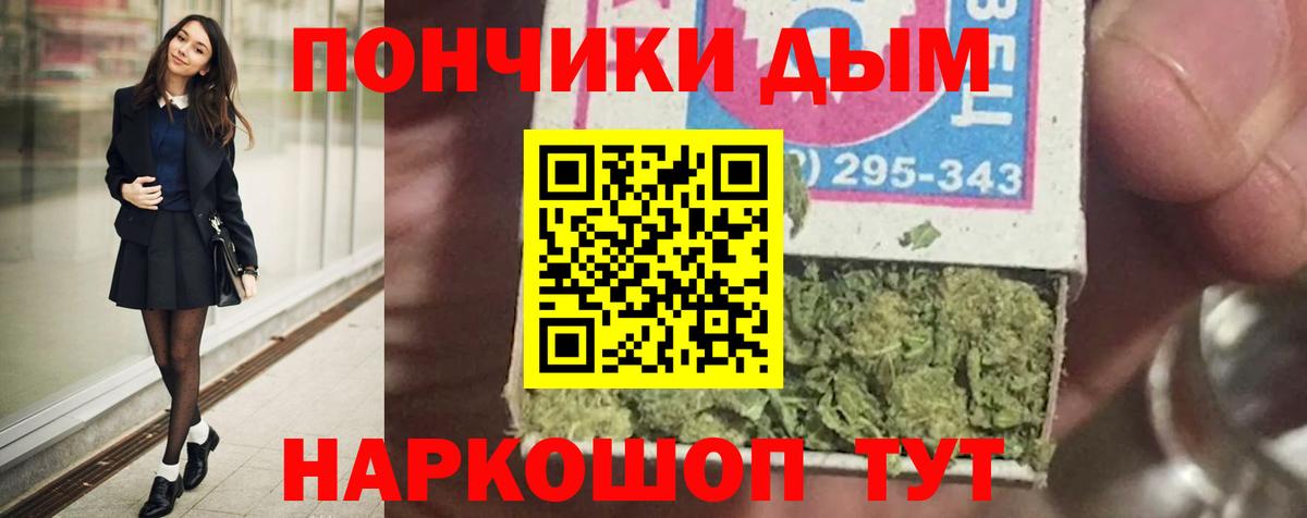Бошки Шишки планчик Кизилюрт